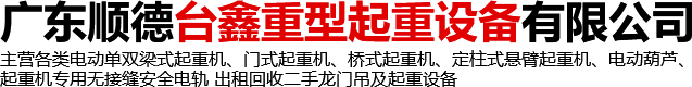 廣東順德臺鑫重型起重設備有限公司 